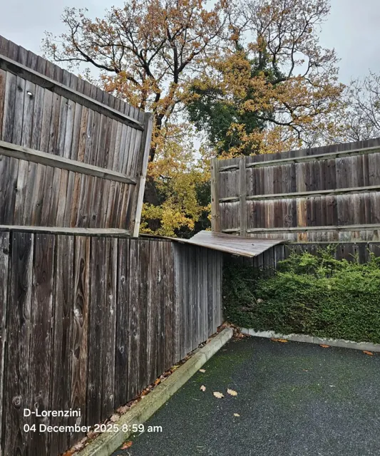 Timber fencing requiring attention