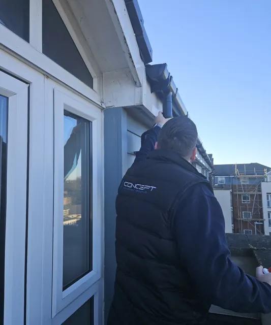 Exterior building care