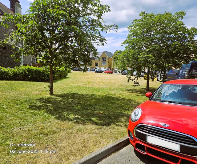 Tree-lined communal green
