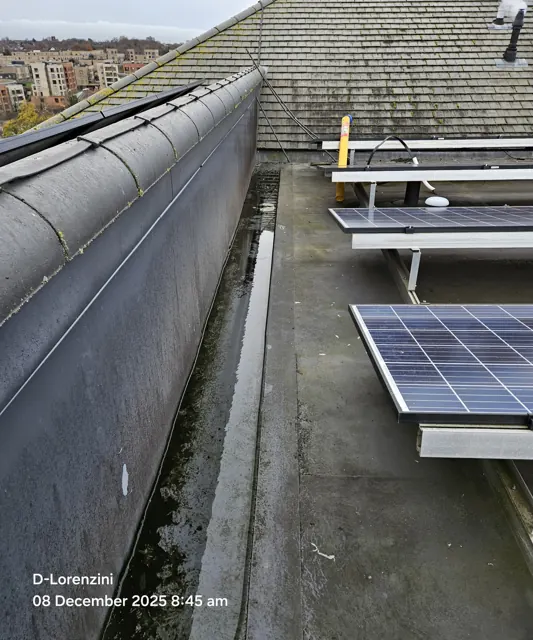 Roof and gutter inspection