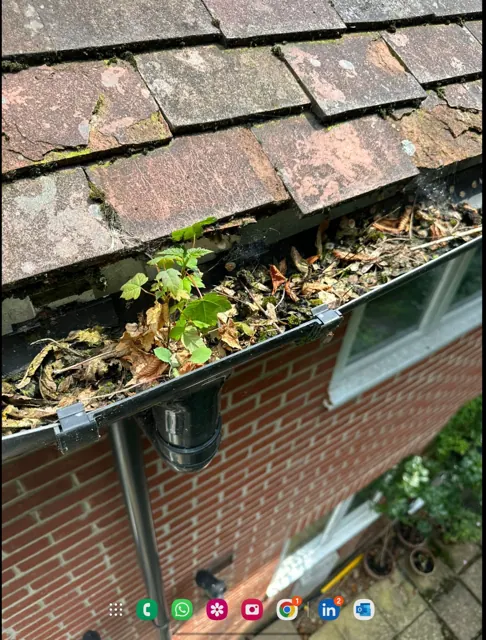 Leaves and debris in guttering