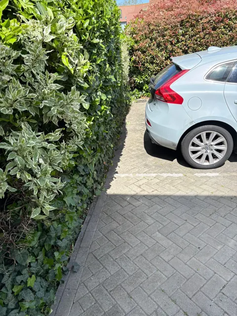 Hedge maintenance beside parking