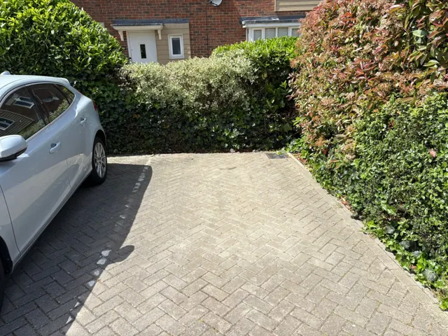 Maintained parking-area hedges