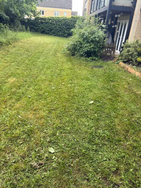 Lawn care beside a residential building