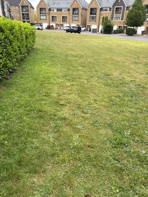 Communal lawns and planted borders