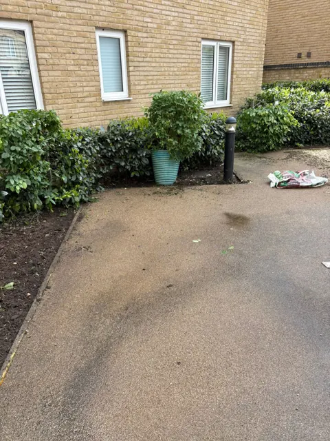 Courtyard and shrub maintenance