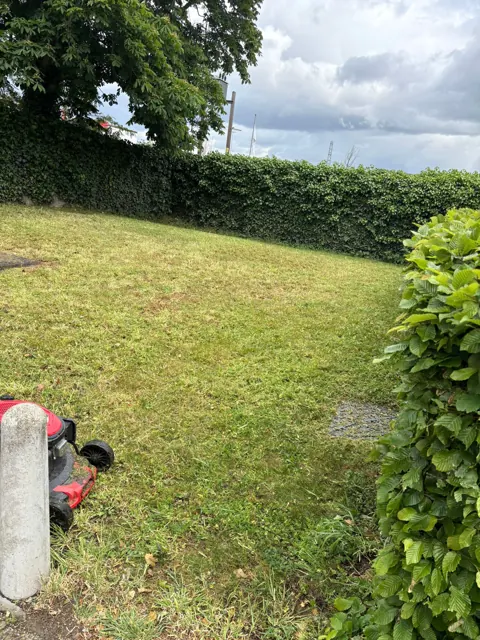 Lawn maintenance in progress