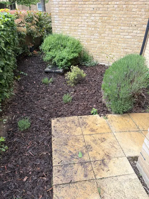 Planted bed and shrub care