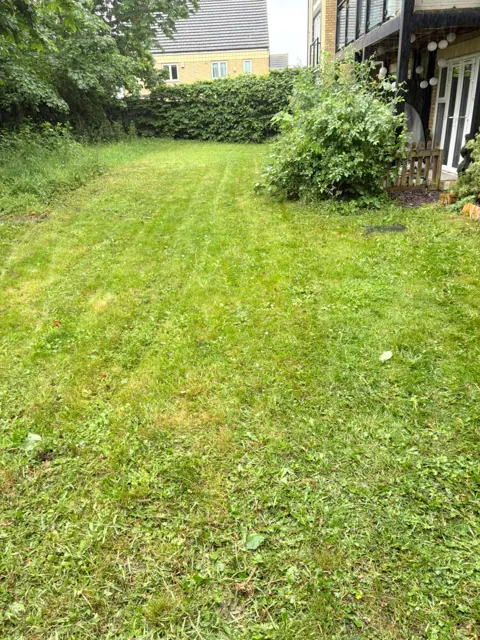 Residential lawn and shrub borders